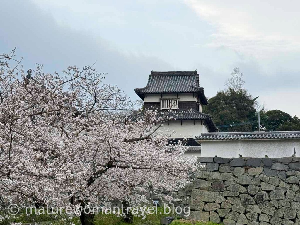 日本九州賞櫻-福岡 舞鶴公園